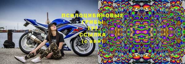 прущая мука Арсеньев