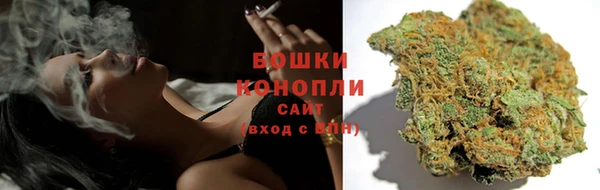 прущая мука Арсеньев