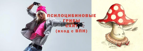 прущая мука Арсеньев