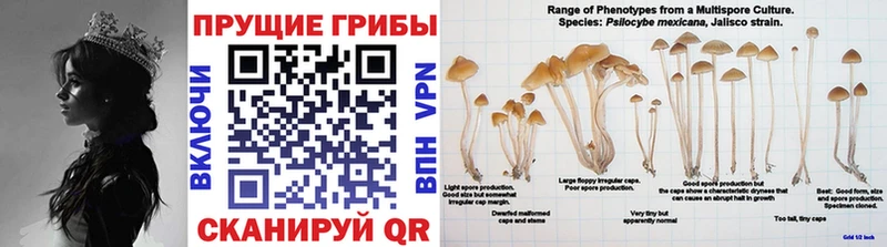 Галлюциногенные грибы Cubensis  мега сайт  Мариинск  цена наркотик 